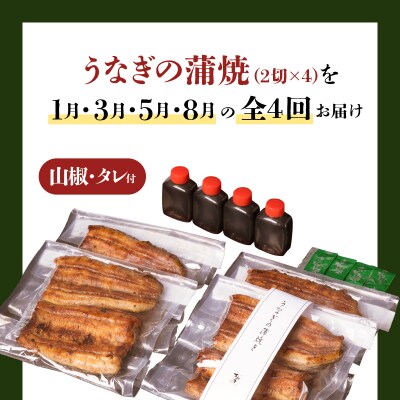 【全4回1・3・5・8月定期便】うなぎ料理専門店松重 並/うなぎ蒲焼2切 1尾×4　K019-T12