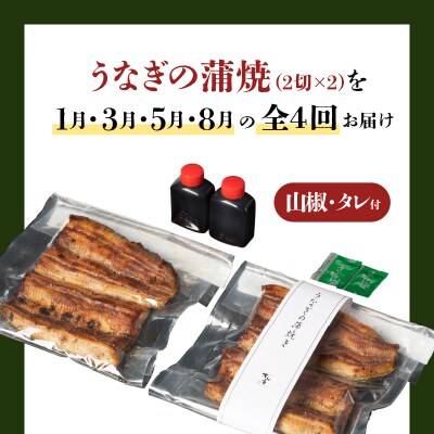 【全4回1・3・5・8月定期便】うなぎ料理専門店松重 上/うなぎ蒲焼2切 1尾×2　K019-T13