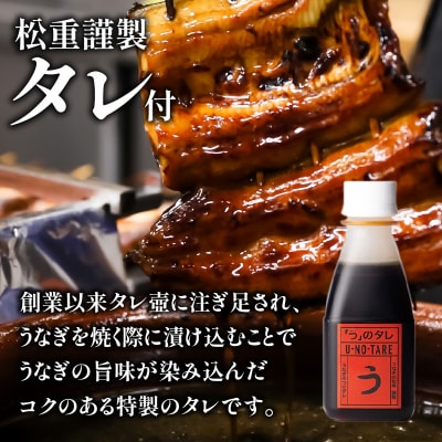 ※使用しない※【全6回偶数月】「松重(まつじゅう)」並/うなぎ蒲焼2切(1尾)×4パック