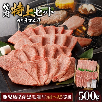 鹿児島黒毛和牛A4～A5 焼肉特上セット カルビ/ロース　K189-007