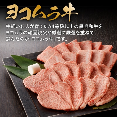 鹿児島黒毛和牛A4～A5 焼肉特上セット カルビ/ロース　K189-007