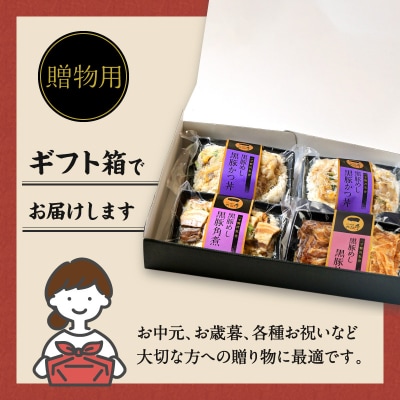 【かごしま黒豚 六白亭】黒豚めし詰合せ 4個　K163-003