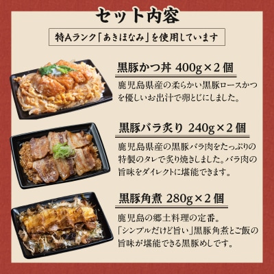 【かごしま黒豚 六白亭】黒豚めし詰合せ　6個　K163-004