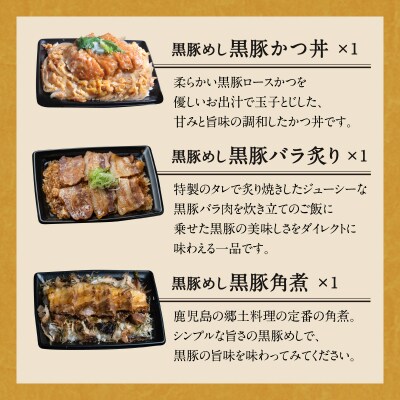 【かごしま黒豚 六白亭】黒豚バラエティピザセット【1】　K163-016