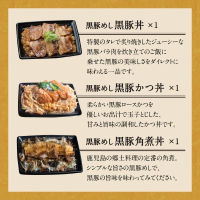 【かごしま黒豚 六白亭】黒豚バラエティピザセット【1】　K163-016