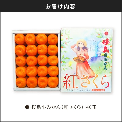 【2025年12月3日までの申込限定】桜島小みかん　K247-001