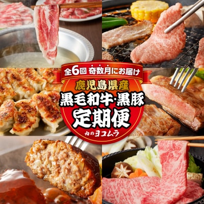 【全6回】「肉のヨコムラ」鹿児島県産 黒毛和牛・黒豚 定期便(奇数月にお届け)　K189-T01