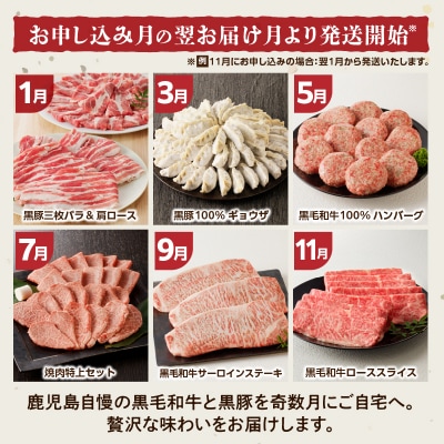 【全6回】「肉のヨコムラ」鹿児島県産 黒毛和牛・黒豚 定期便(奇数月にお届け)　K189-T01