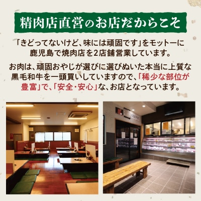 【全6回】「肉のヨコムラ」鹿児島県産 黒毛和牛・黒豚 定期便(奇数月にお届け)　K189-T01