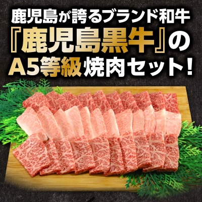 「JAのお肉屋さん」A5等級!鹿児島黒牛焼肉セット(計900g)　K234-001