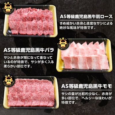 「JAのお肉屋さん」A5等級!鹿児島黒牛焼肉セット(計900g)　K234-001