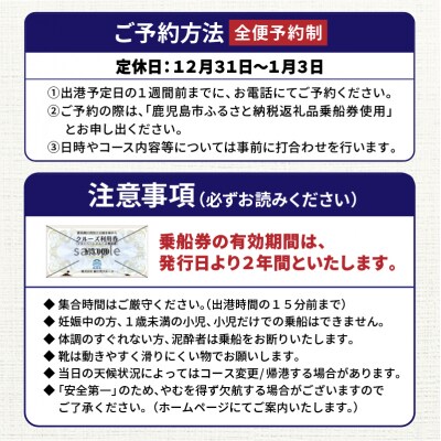 錦江湾クルーズ乗船券　プライベートクルーズ(3時間)　K240-002