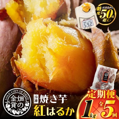 【全5回】【畑の金貨】焼き芋紅はるか1kg 定期便　K181-T01