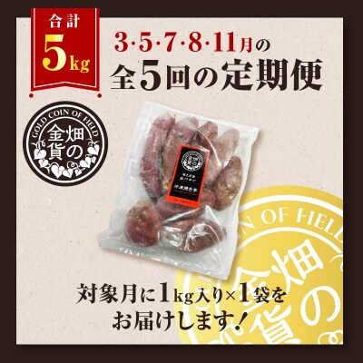 【全5回】【畑の金貨】焼き芋紅はるか1kg 定期便　K181-T01