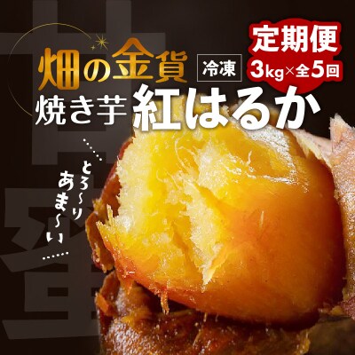 【全5回】【畑の金貨】焼き芋紅はるか3kg 定期便　K181-T02
