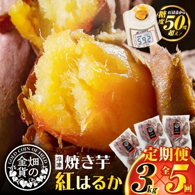 【全5回】【畑の金貨】焼き芋紅はるか3kg 定期便　K181-T02