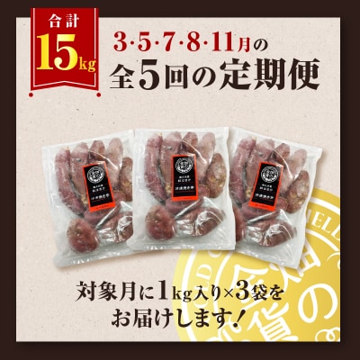 【全5回】【畑の金貨】焼き芋紅はるか3kg 定期便　K181-T02