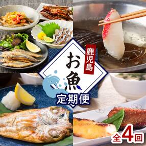 【全4回】鹿児島お魚定期便 K000-T2324