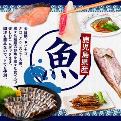 【全4回】鹿児島お魚定期便　K000-T2324