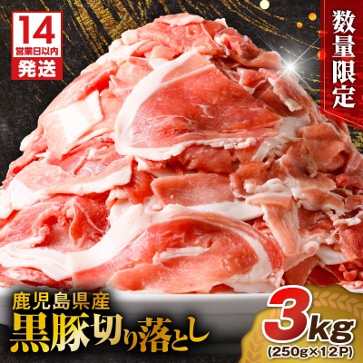 【14営業日以内に発送】【数量限定】鹿児島県産 黒豚切り落とし 3kg　K025-001_06_cp