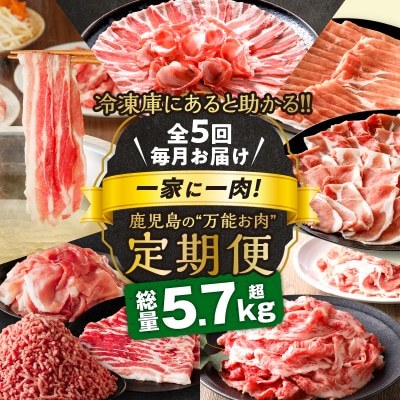 【全5回】一家に一肉!鹿児島の万能お肉定期便　K000-T2326