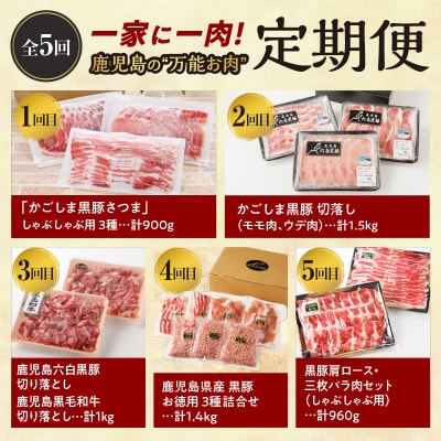 【全5回】一家に一肉!鹿児島の万能お肉定期便　K000-T2326