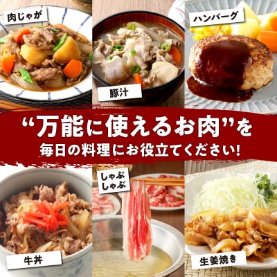 【全5回】一家に一肉!鹿児島の万能お肉定期便　K000-T2326