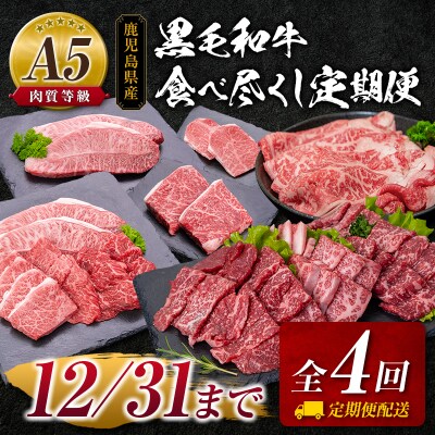 【全4回】A5等級!鹿児島県産黒毛和牛食べ尽くし定期便　K208-T03