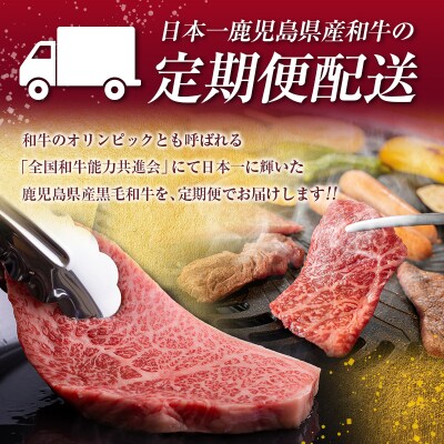 【全4回】A5等級!鹿児島県産黒毛和牛食べ尽くし定期便　K208-T03