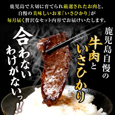 【全4回】特選お肉とお米定期便　K000-T2327