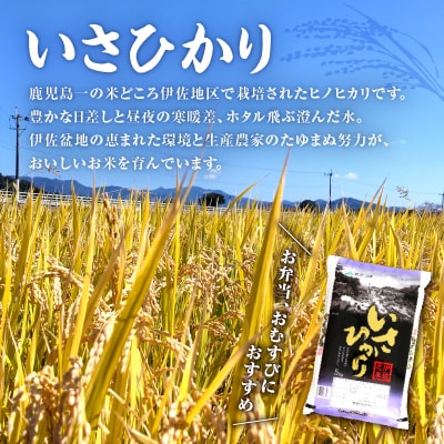 【全4回】特選お肉とお米定期便　K000-T2327