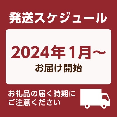 【全12ヶ月】鹿児島市ゴールド定期便　K000-T2322