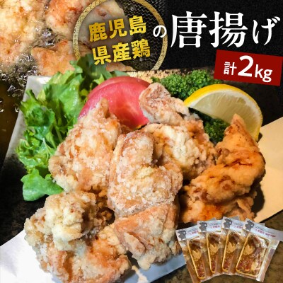 鹿児島県産鶏の唐揚げ　2kg　K199-001_02