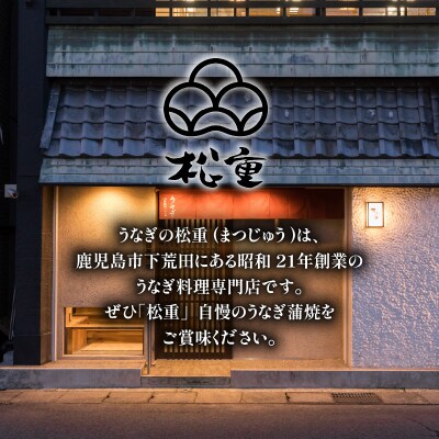 うなぎ蒲焼2切(1尾)×1パック(上)　K019-005