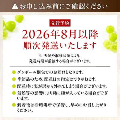 【2026年先行受付】【桜島産】シャインマスカット 1房　K261-001_01