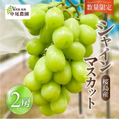 【2026年先行受付】【桜島産】シャインマスカット 2房　K261-001_02