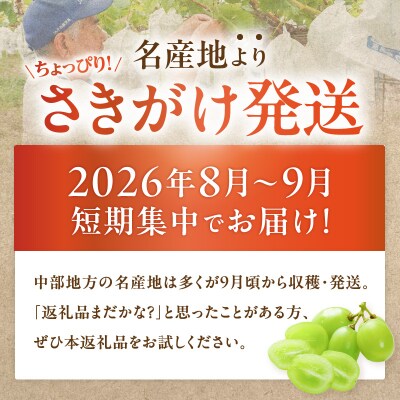【2026年先行受付】【桜島産】シャインマスカット 3房　K261-001_03