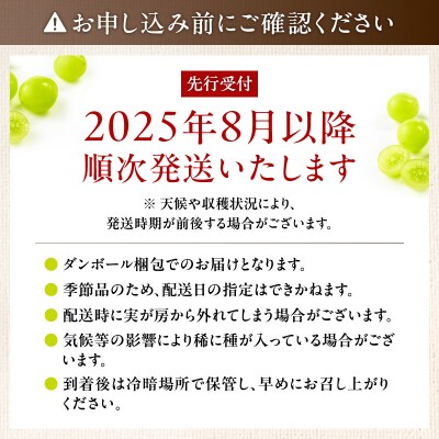 【2025年先行受付】【桜島産】シャインマスカット 8房　K261-001_05