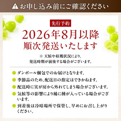 【2026年先行受付】【桜島産】シャインマスカット 8房　K261-001_05