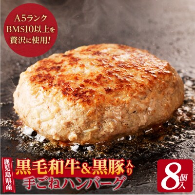 【肉旅】鹿児島県産黒毛和牛&黒豚入り手ごねハンバーグ8個入　K235-001_01