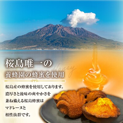桜島蜂蜜マドレーヌ　K215-001