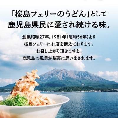 桜島フェリー名物　てんこ盛りごぼ天うどん4食セット　K244-001_01