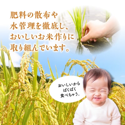 令和5年産金芽米あきほなみ(鹿児島県産) 9kg　K226-003_02
