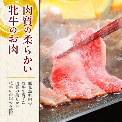 黒毛和牛赤身スライス 600g 【風呂敷包み】　K098-015_02