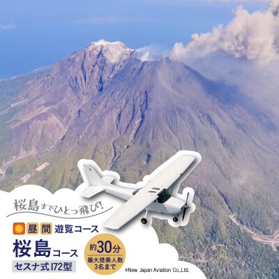 【昼間遊覧飛行】桜島コース セスナ式172型(大人3名まで)　K222-FT001