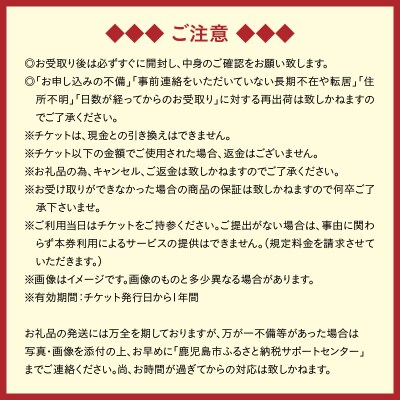 【夜間遊覧飛行】鹿児島市内ナイトコース セスナ式172型(大人3名まで)　K222-FT005