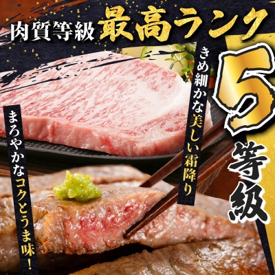 鹿児島黒牛サーロインステーキセット(計1.2kg)　K127-011