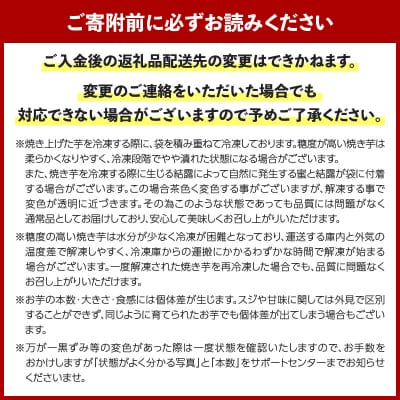 【2026年1月1日から寄附額改定】畑の金貨 焼き芋紅はるか2kg　K181-005_01