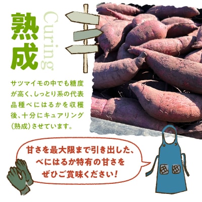 サイズバラバラ熟成べにはるか(生芋)土付き 5kg　K270-001