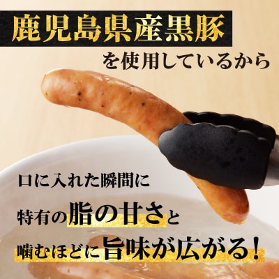 【 生活応援 + 厚切りハムステーキ切り落とし 1P 】 期間限定 鹿児島黒豚ウインナー10P